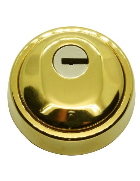 HOPLON. escudo alta proteccion. ORO PVD.