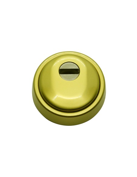 HOPLON. escudo alta proteccion. ORO BICAPA