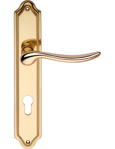 BETA , manilla placa