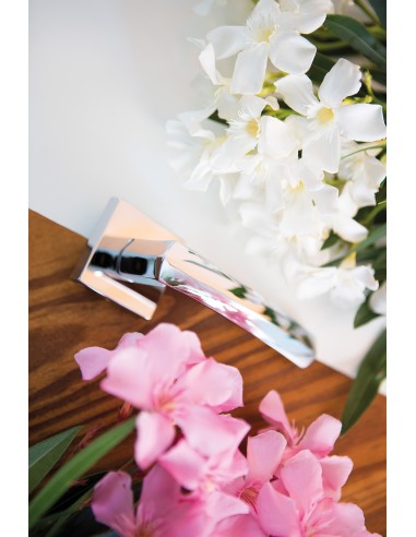 DAFNE , manilla placa